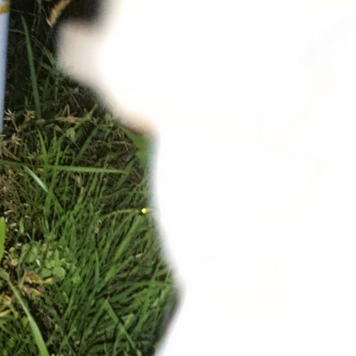 2b509dff cc3c 4d24 9bdc 2dba3de5c57e 1560770856650