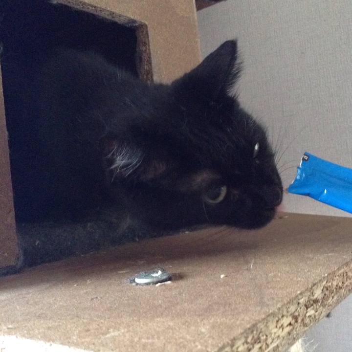 2b510478 cc19 4814 91c1 47a1533cdb3e 1534637585430