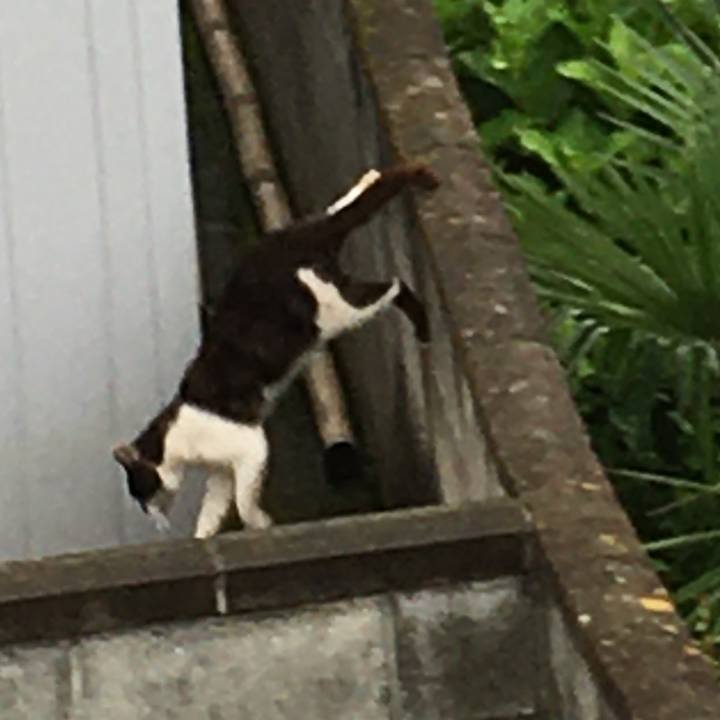 2b51077b a87f 4a90 bb99 6b9260737eaf 1624576852888