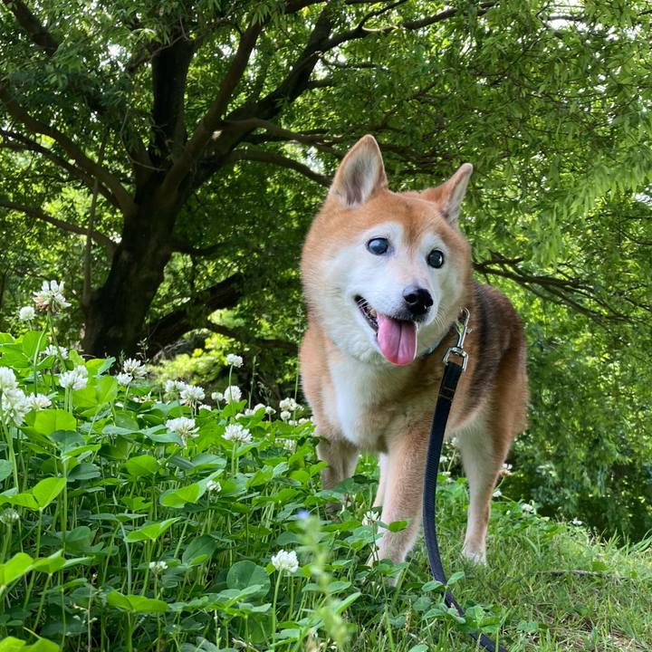 2b510db0 ffb6 49ea 9372 f37982d816b1 1747804811180