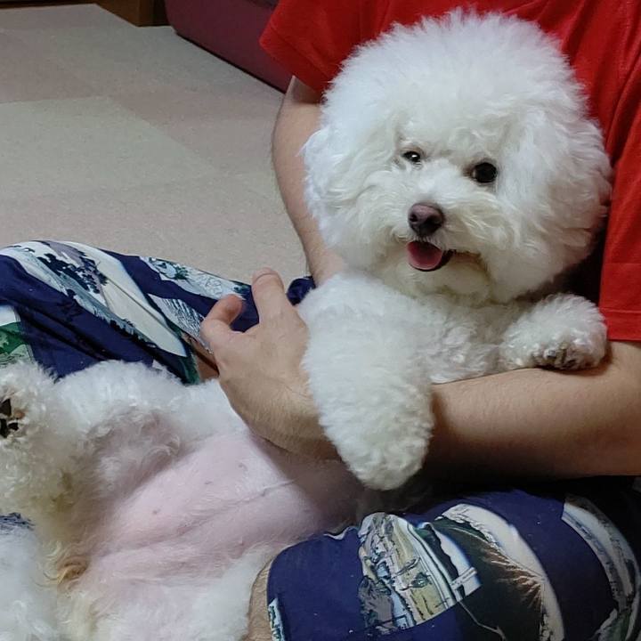 2b511b77 fbc6 4775 8716 8cd074de363c 1596890739354