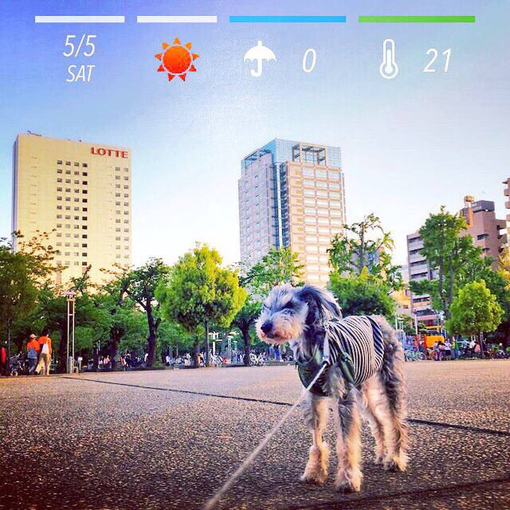 2b511db6 2d06 43a9 b79e 7231bb82e578 1525513916816