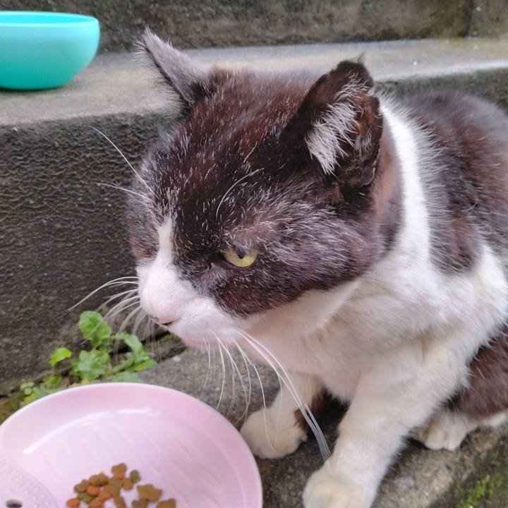 2b511f5e cc2b 43d9 91a1 9359b6f33c45 1710978747865