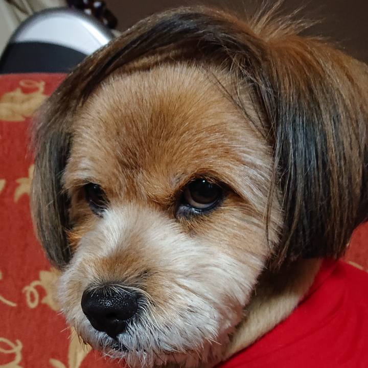 2b51232c 244f 4d59 8a72 9e7f9b301868 1579181783988