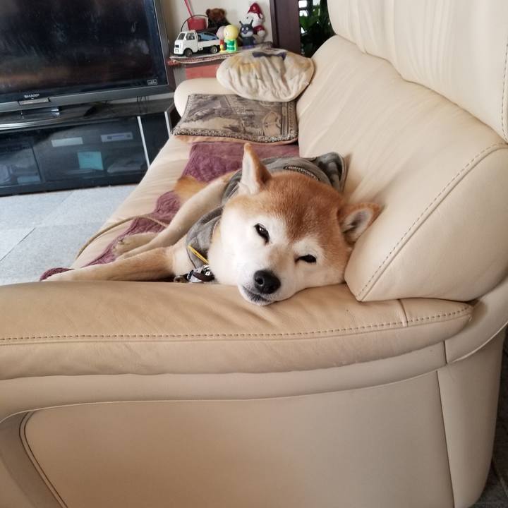 2b512a89 8e87 4b46 81c8 af851156966f 1646270715224