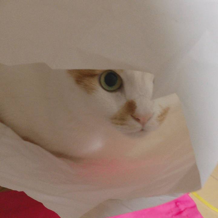 2b512e93 e26e 4837 bbd0 b5709b6a3409 1511012692486