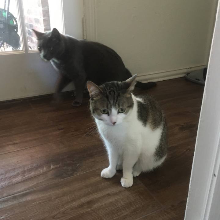 2b512fb9 1e7a 4d55 b9be 347f9d97b88d 1653353301609