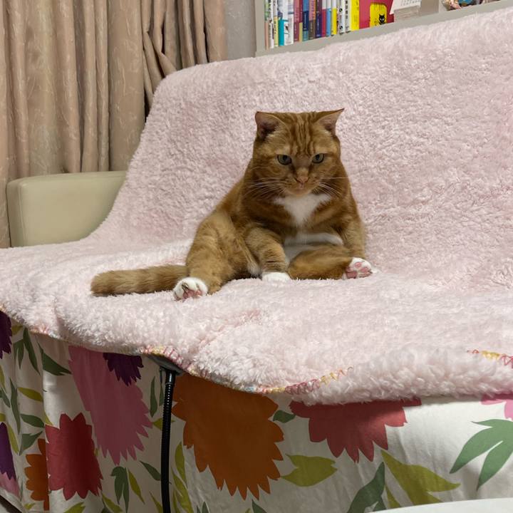 2b516811 f3de 49bb b0d0 416403e82043 1705928900532