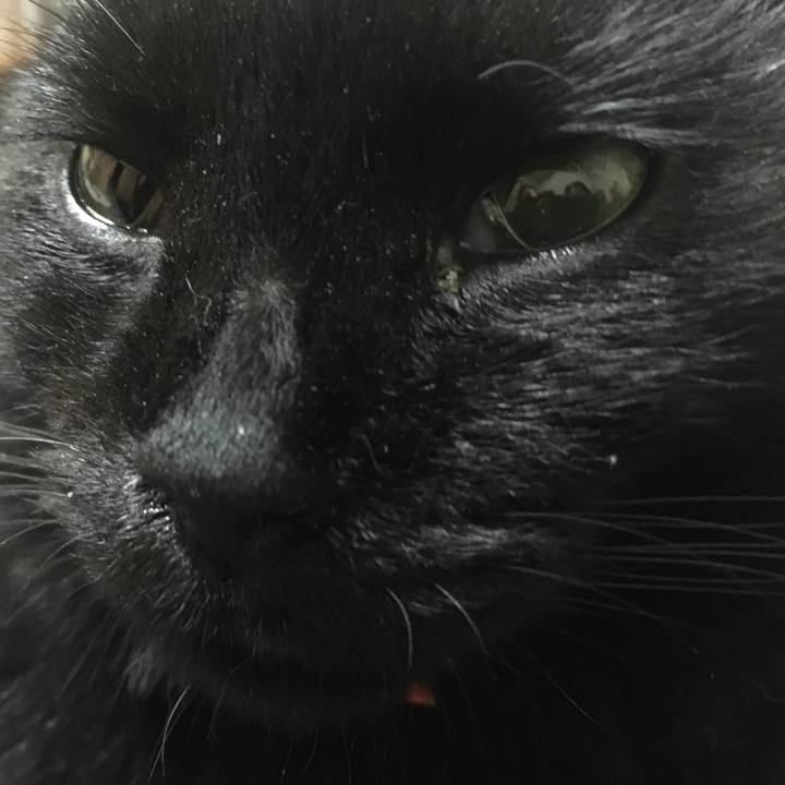 2b51a9e8 35f0 430d af4d 4e10139a3c4d 1539524088797