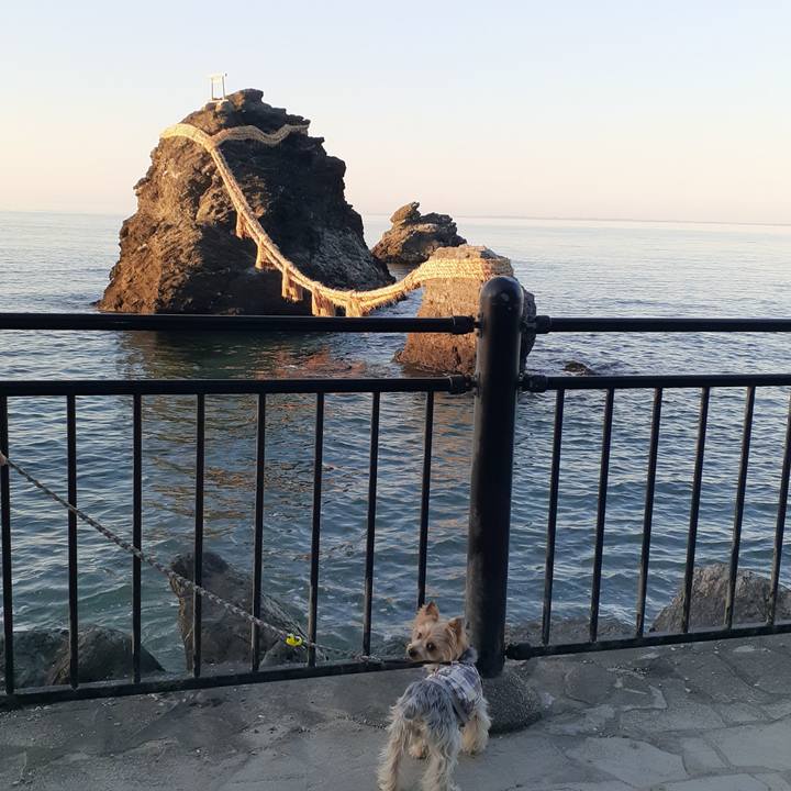 2b51de7f d076 464c b689 40c7f5402729 1678143616848