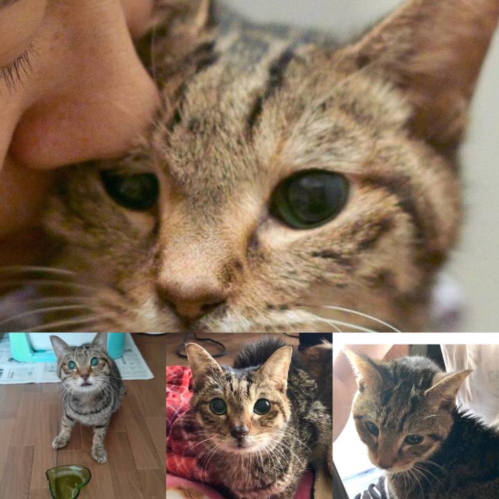 2b51fbf1 1cb6 43be b90f 317ceebe4c9b 1641018077498