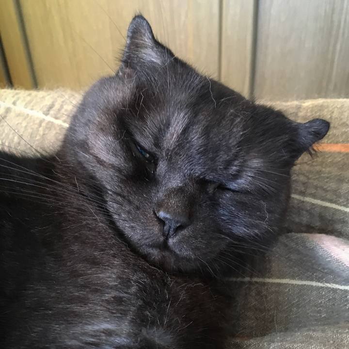 2b5282e7 5fa5 4fb6 a95b 8d875cc0aca7 1562130220197