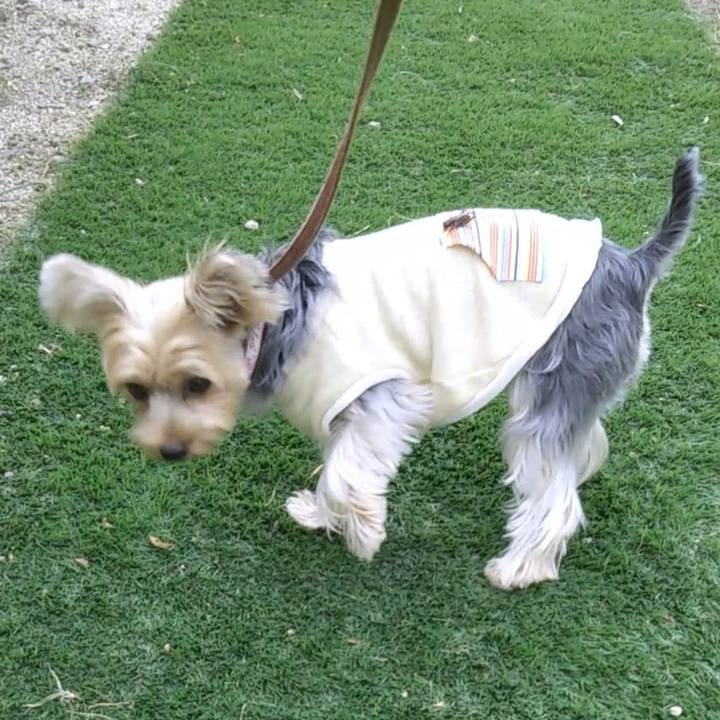 2b52a2af a8e9 4d13 be7e 2fb9688b001b 1571274296848