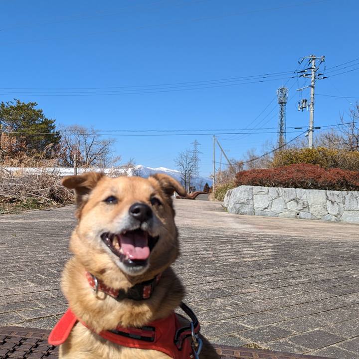 2b52a4c6 ace1 4e73 9386 4babed2b756f 1678021201495