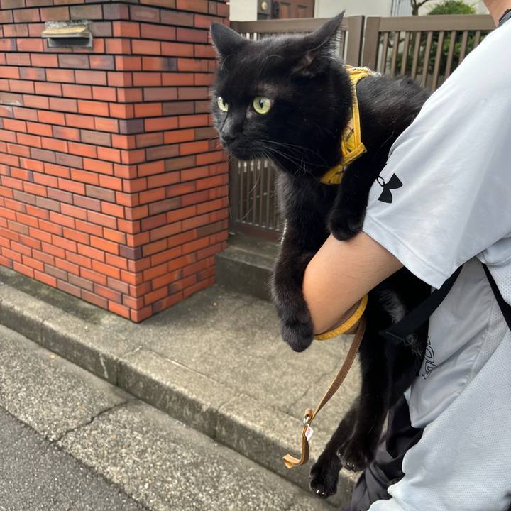 2b52ba75 0f07 4277 8eb9 00de66d81e7f 1694842126918