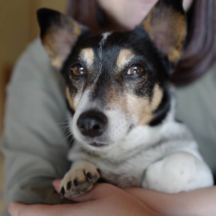 2b52c2a4 e5a7 4c9a 98f5 0f76e0422700 1525048416729