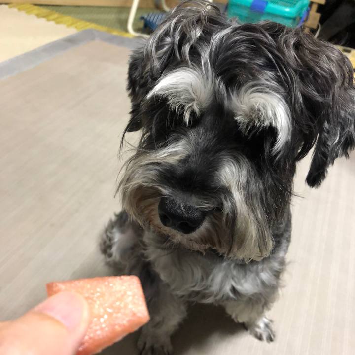 2b532ae7 e109 46b7 b3f5 62e879ce29f3 1628681817179