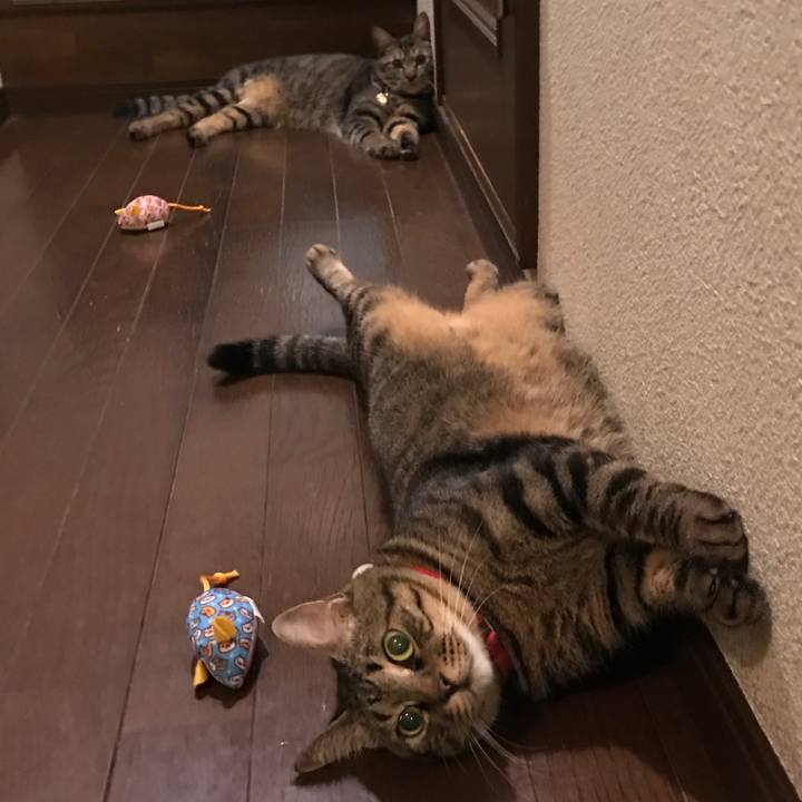 2b533afa 192c 4a15 a4f5 214e693b7903 1538657416933