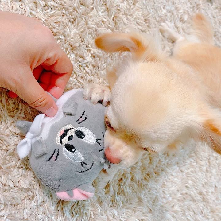 2b539f21 7075 4df9 b9b9 0d35c1334231 1632640781804