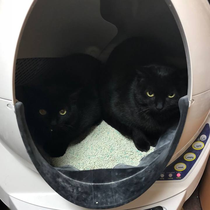 2b540c4d c83a 4f47 bc27 9ec6f0308b57 1514966426943