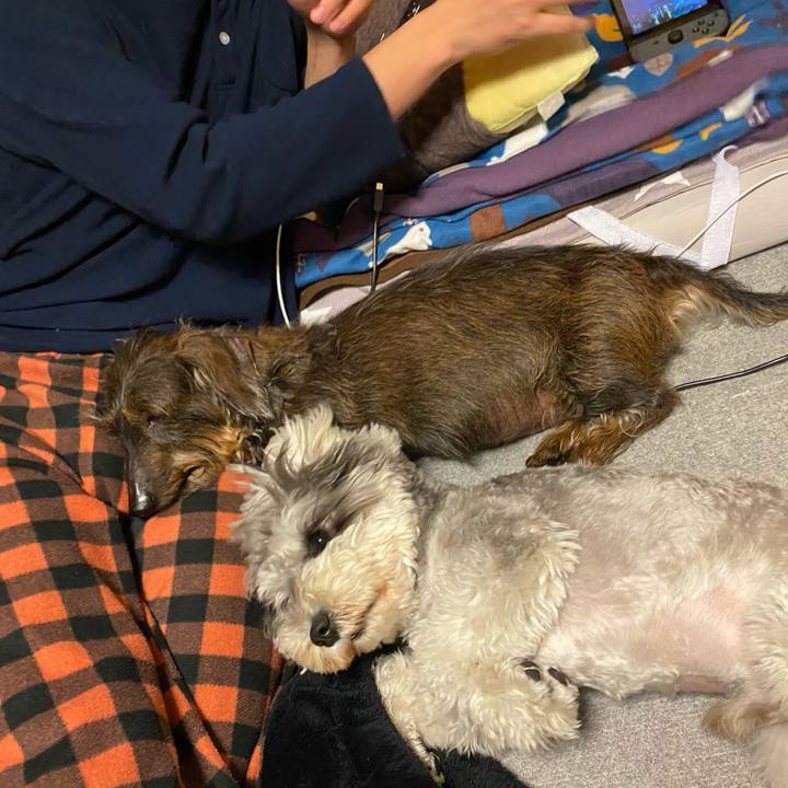 2b541667 ca32 40d4 a0e3 daa20c485954 1618934472755