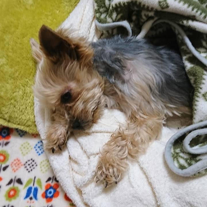 2b549613 86d7 4557 9e77 7cf965e6b6a0 1550013144364