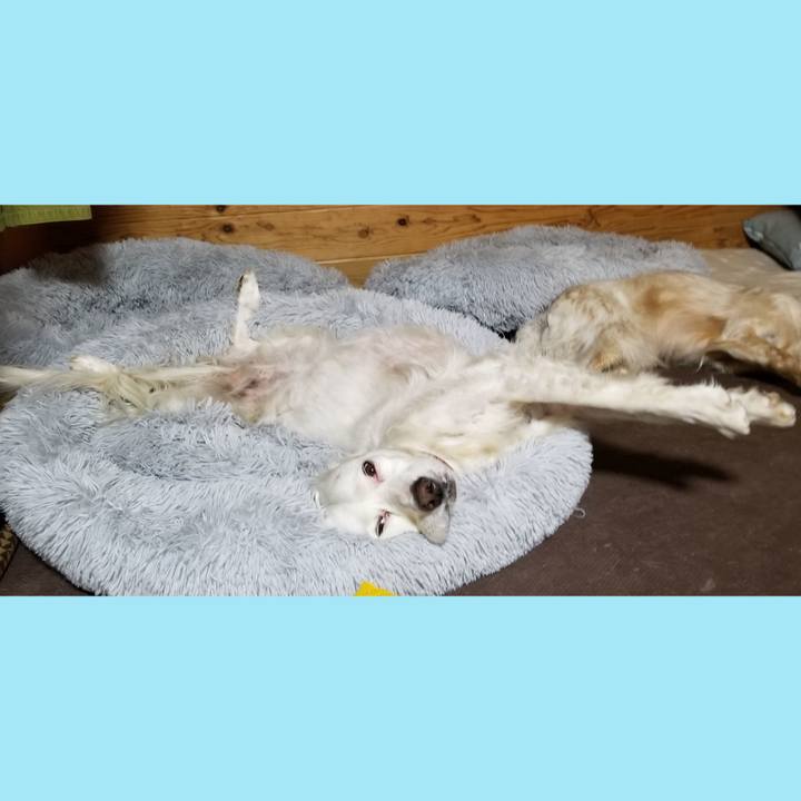 2b54afd8 65c3 4e24 9541 ca6f42953e35 1613828384747