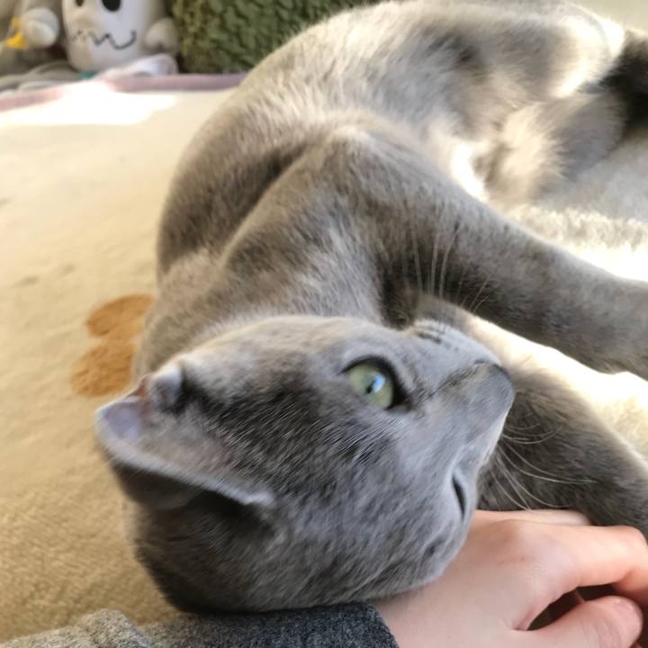 2b54b4d6 1191 4306 a220 4aecbe89f789 1514190546389