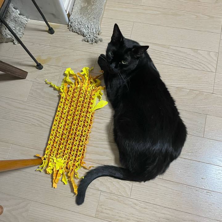 2b54b533 28fc 4c9b 95fa 1ec1a0ed4a7b 1758371126539