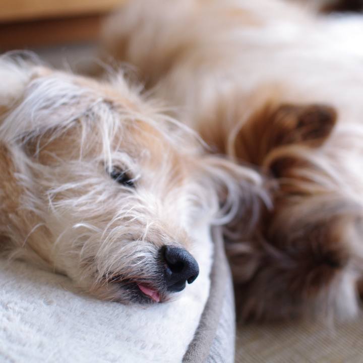 2b54e859 00d2 4aaf 8fb5 c0098abae440 1587731306837