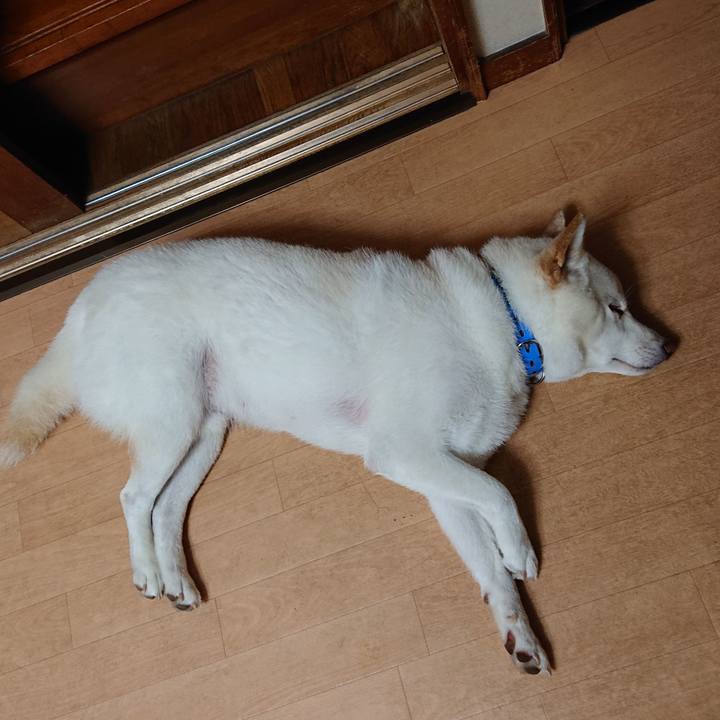 2b54f6c7 e4bc 49f2 b46b d45444f490e5 1570799496748