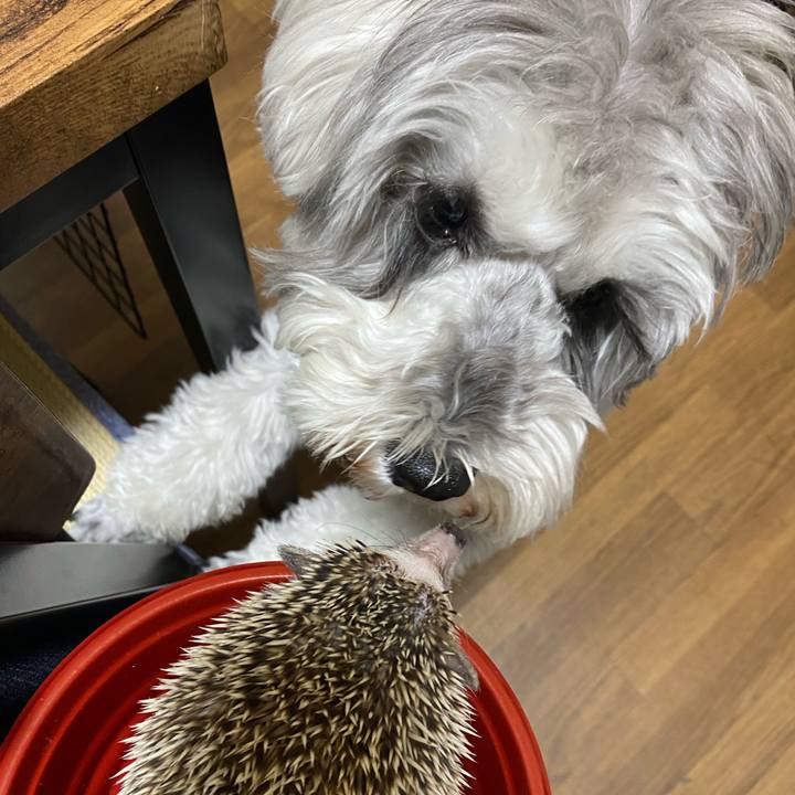 2b54f6d7 c024 4d70 8623 bf538e050c02 1646925793189