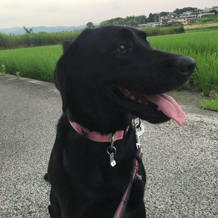 2b5501fc 623d 4b48 87f5 fe422af7daab 1564603999219