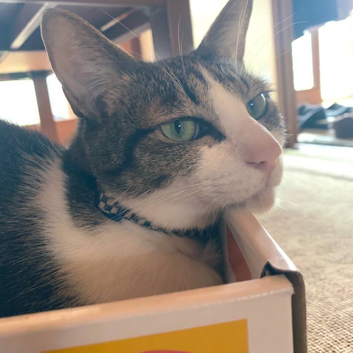 2b5514a2 7a15 4ec0 8569 712dc891caf8 1569482725787