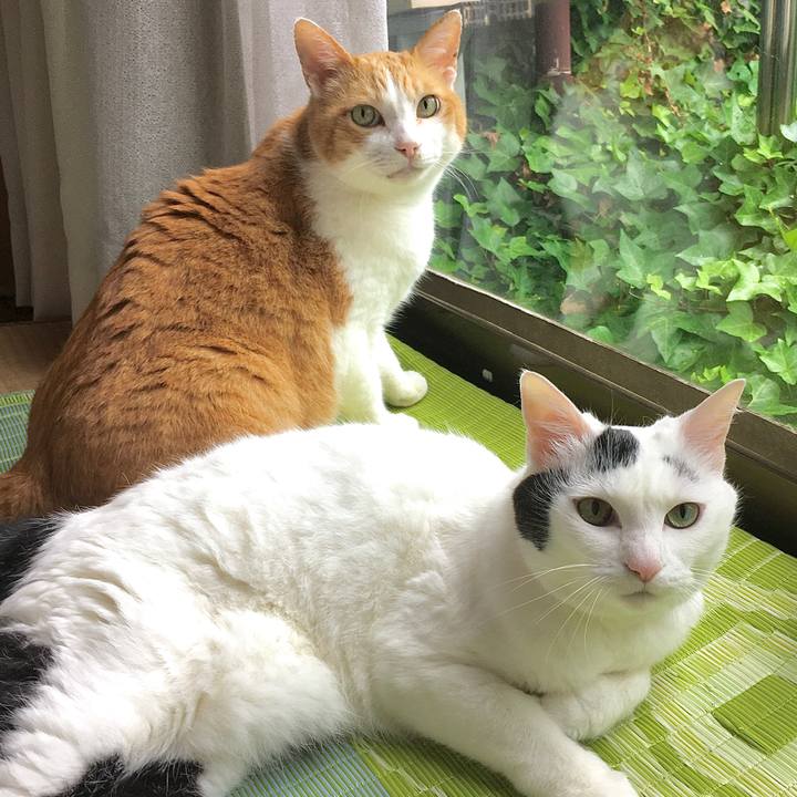 2b5523e6 d5ea 403a 8eae d8ec544c9146 1592643211525