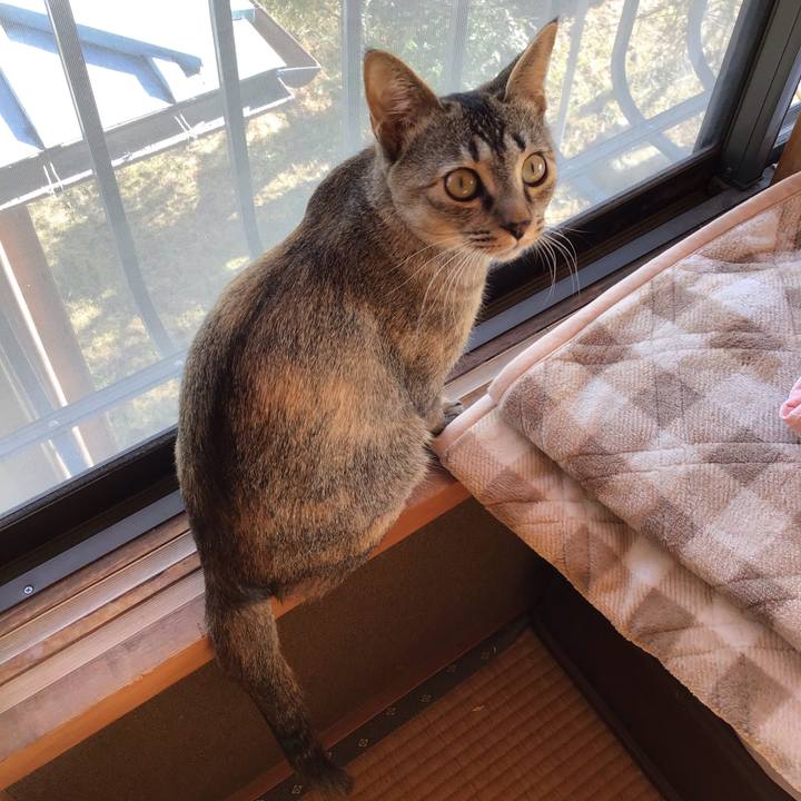 2b554b9a 6467 4b36 aa08 f9e9578b6d68 1577159193820