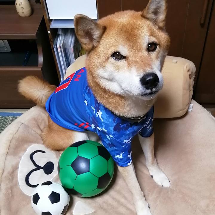 2b558bfa 72a2 4a0e bb77 36606c981443 1602245907051