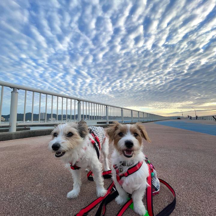 2b558c32 3f29 4fdc 98c7 2c377c56195d 1758588410977