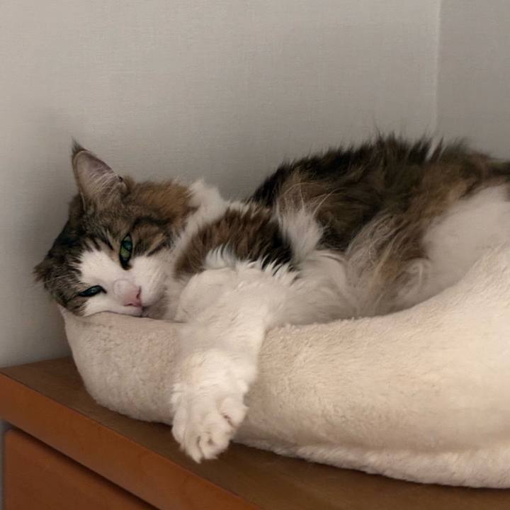 2b55d3d2 15cf 4df6 a5ce dac2ceb7fe44 1774182601906