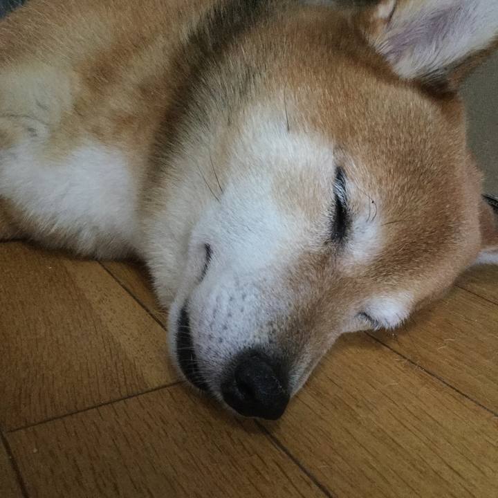 2b55f5ca 2608 4052 99b2 2acb56dbd695 1597535300493