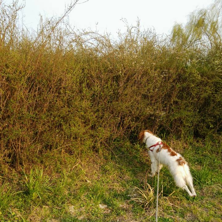 2b560bc7 51b0 406e b3bc 1566d31f9938 1552640504996