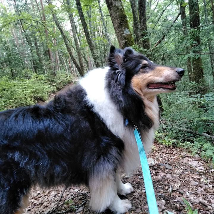 2b5623e4 3c28 464d 9bc9 9d1dbd94d696 1562418909709