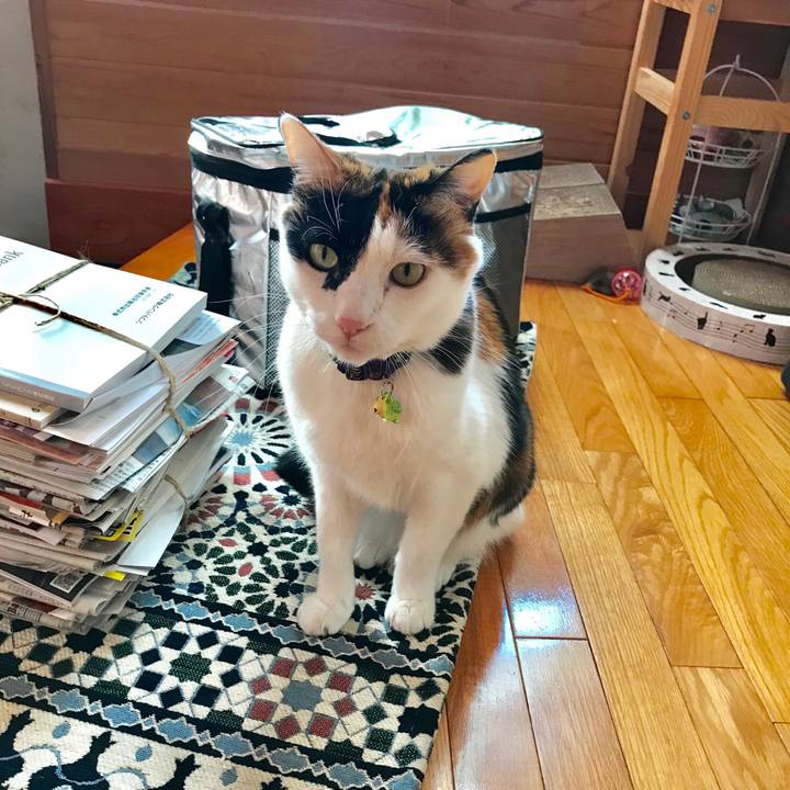 2b564731 2fc8 4daf bbc1 fe67a7e6ac6d 1543066322774