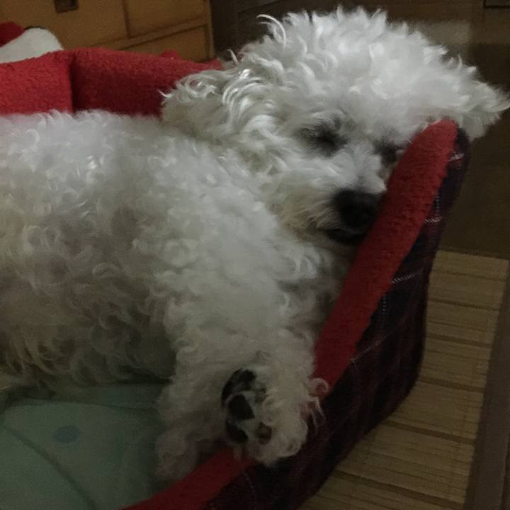 2b564e77 207b 440c 9bb8 05dcb7fd0b55 1535804958332