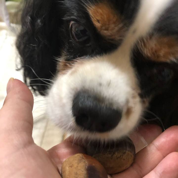 2b5650a8 56d9 4652 bf68 d590ca3ca862 1568460197119