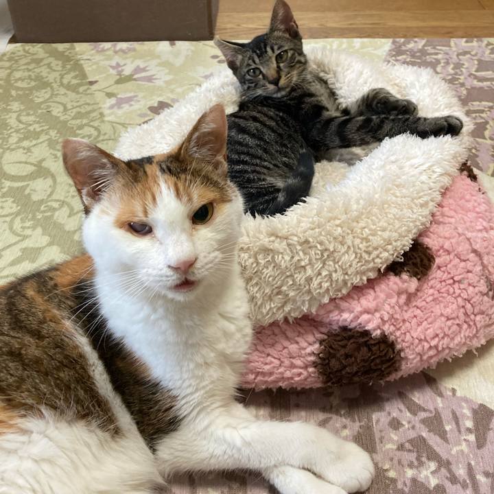 2b565be5 55b3 49ac 9796 6fc05dcae8d2 1602840971614