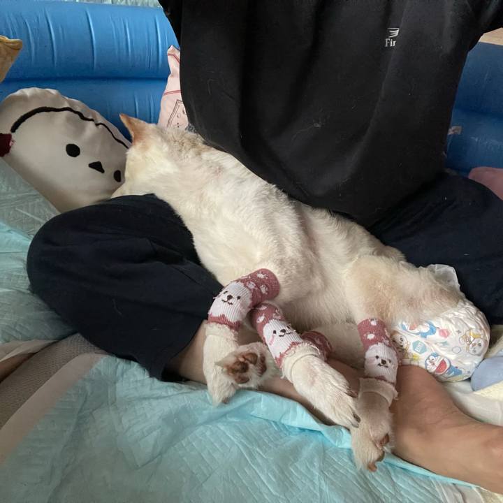 2b56689f f97c 4009 8852 4dcb2af1097f 1683444786712