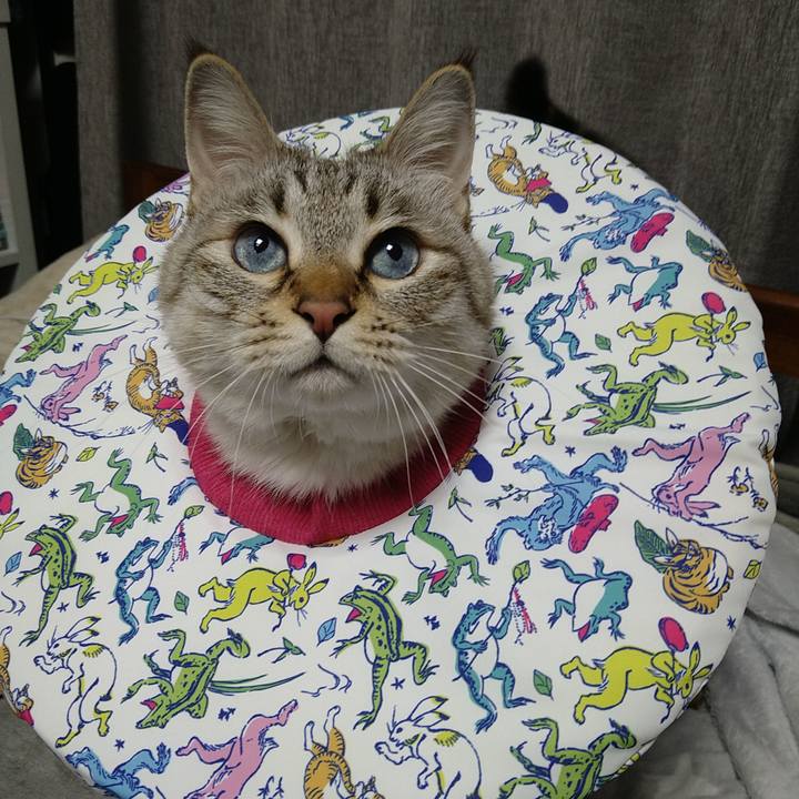 2b566919 8bb9 41d1 b619 0435c39c0183 1738160175041