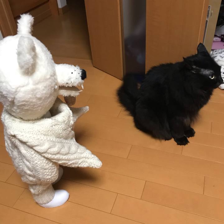 2b5678d8 053b 4b6a ac3e f4c80ab578d8 1565781838248