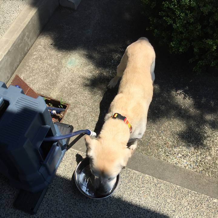 2b567cd6 6ab1 4bc5 805a e671f0bbae76 1527993155982